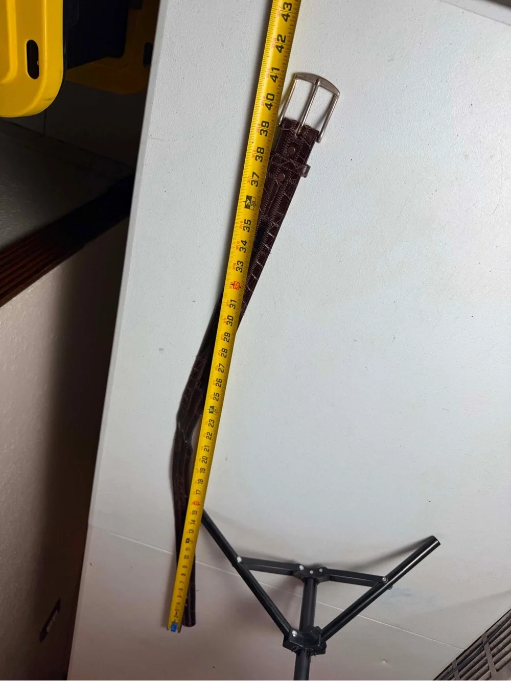 Tony Lama Genuine Alligator Belt